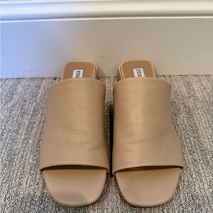 Steve Madden Women's Tan Mules